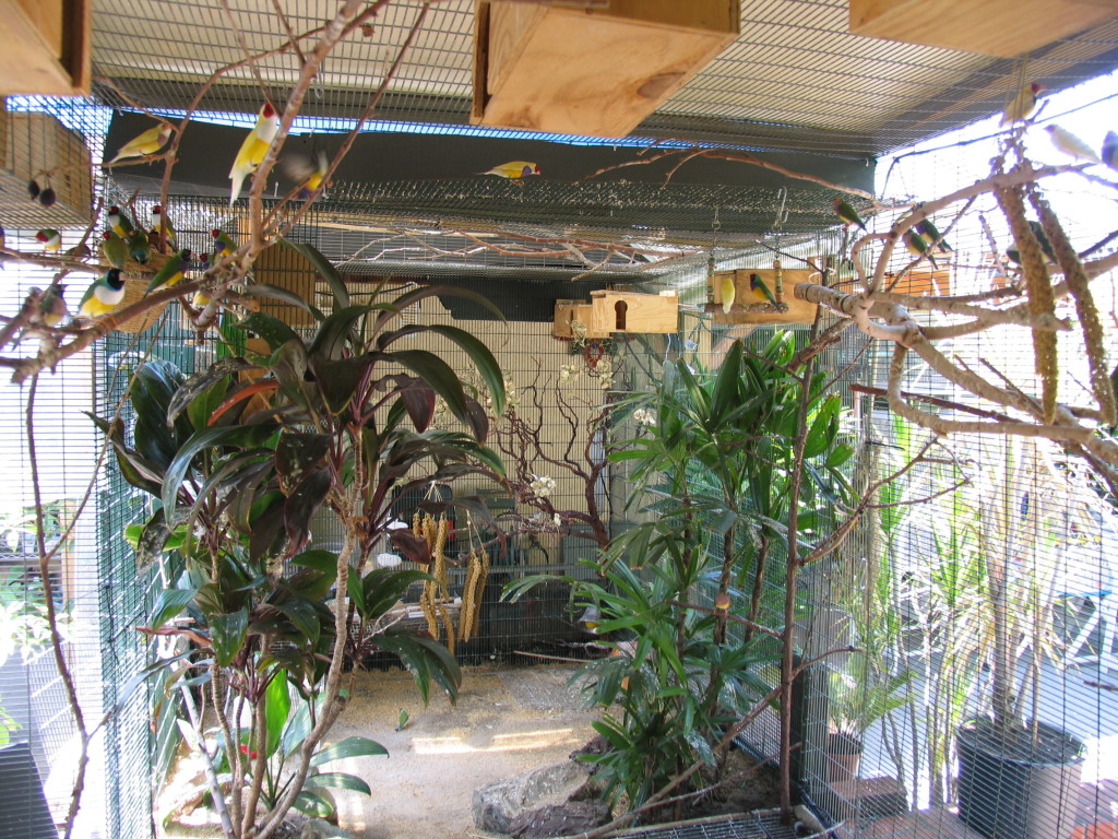 Inside aviary